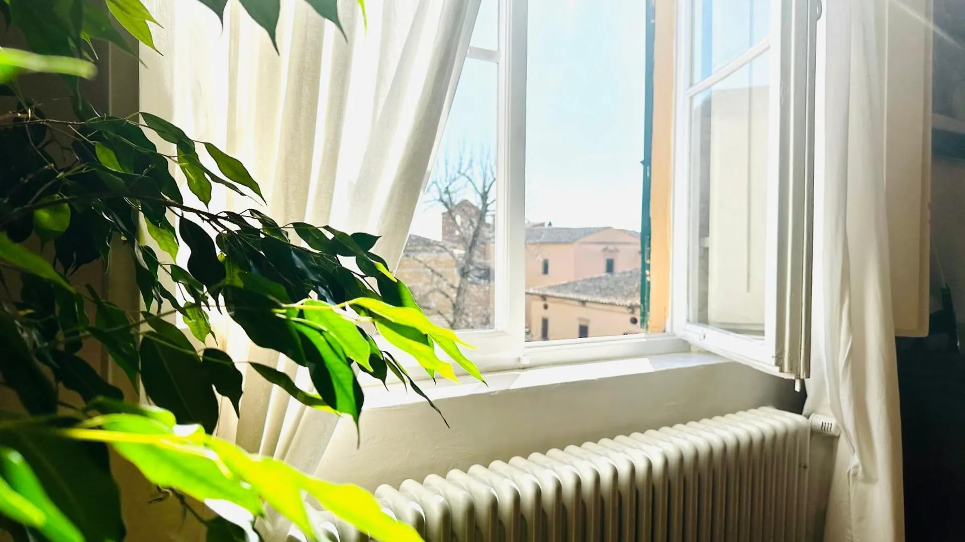 Apartment Domus An - Sant'Agata-Historical Home-Very Central Siena